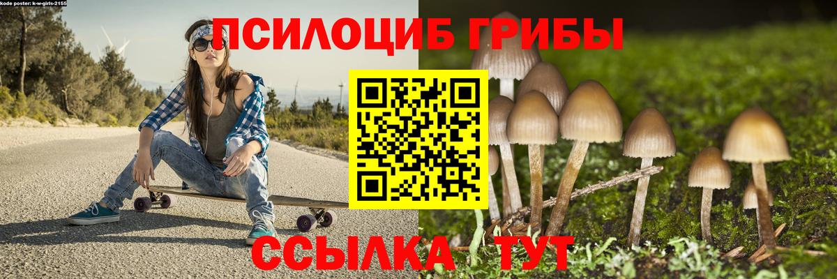 Волгоград  Галлюциногенные грибы GOLDEN TEACHER  Вход с VPN 